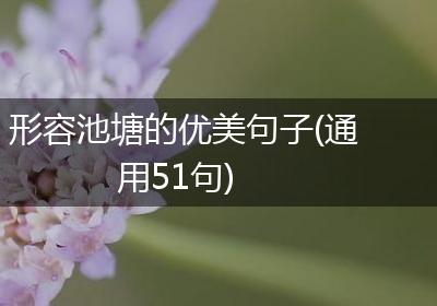 形容池塘的优美句子(通用51句)