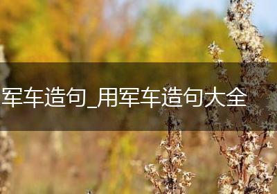 军车造句_用军车造句大全