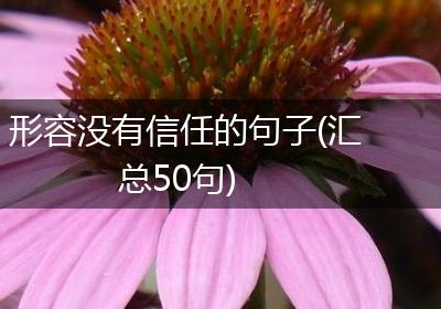 形容没有信任的句子(汇总50句)