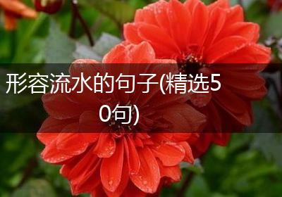 形容流水的句子(精选50句)