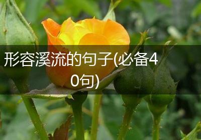 形容溪流的句子(必备40句)