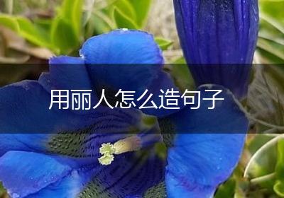 用丽人怎么造句子