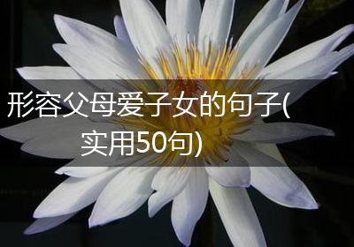 形容父母爱子女的句子(实用50句)