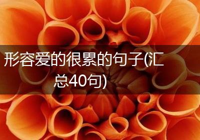 形容爱的很累的句子(汇总40句)