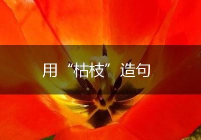 用“枯枝”造句