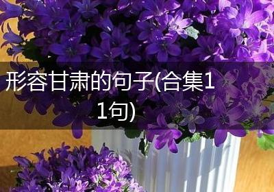 形容甘肃的句子(合集11句)