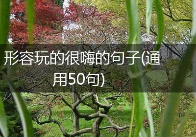 形容玩的很嗨的句子(通用50句)