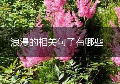 浪漫的相关句子有哪些