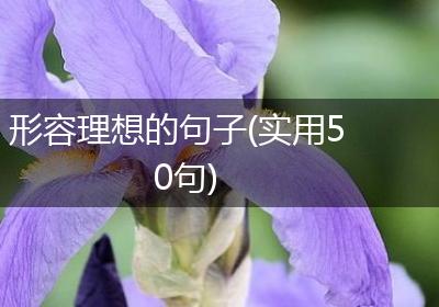 形容理想的句子(实用50句)