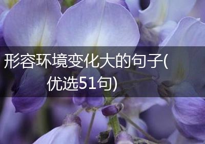 形容环境变化大的句子(优选51句)