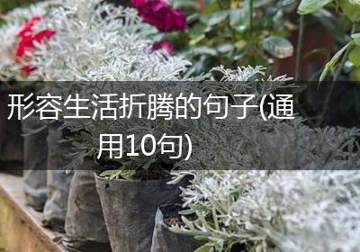 形容生活折腾的句子(通用10句)