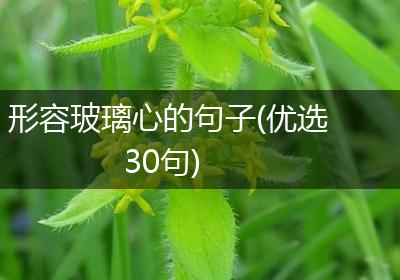 形容玻璃心的句子(优选30句)