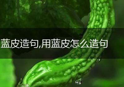 蓝皮造句,用蓝皮怎么造句