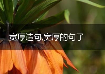 宽厚造句,宽厚的句子