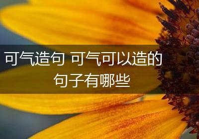 可气造句 可气可以造的句子有哪些