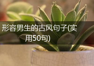 形容男生的古风句子(实用50句)