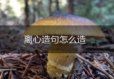 离心造句怎么造