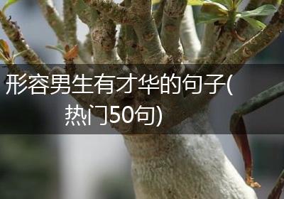 形容男生有才华的句子(热门50句)