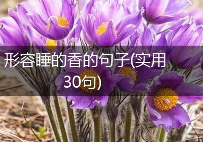 形容睡的香的句子(实用30句)