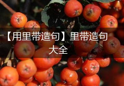 【用里带造句】里带造句大全
