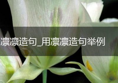 凛凛造句_用凛凛造句举例