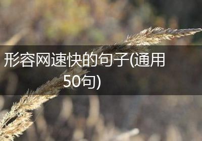 形容网速快的句子(通用50句)