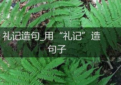 礼记造句_用“礼记”造句子