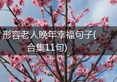 形容老人晚年幸福句子(合集11句)