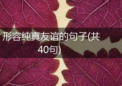 形容纯真友谊的句子(共40句)