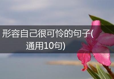形容自己很可怜的句子(通用10句)