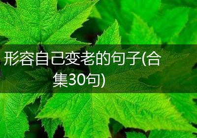 形容自己变老的句子(合集30句)