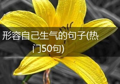 形容自己生气的句子(热门50句)