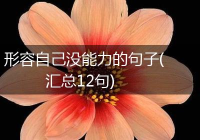 形容自己没能力的句子(汇总12句)