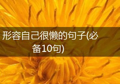 形容自己很懒的句子(必备10句)