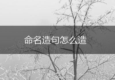 命名造句怎么造
