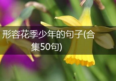 形容花季少年的句子(合集50句)
