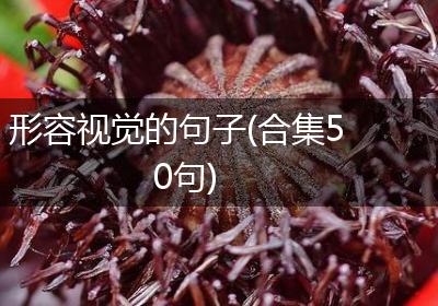 形容视觉的句子(合集50句)