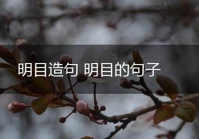 明目造句 明目的句子