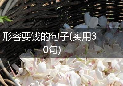 形容要钱的句子(实用30句)