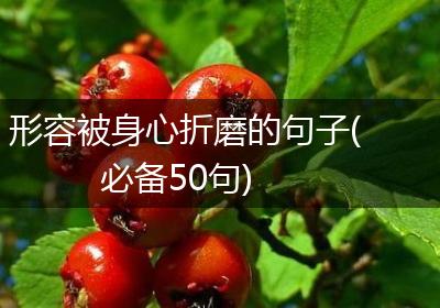 形容被身心折磨的句子(必备50句)