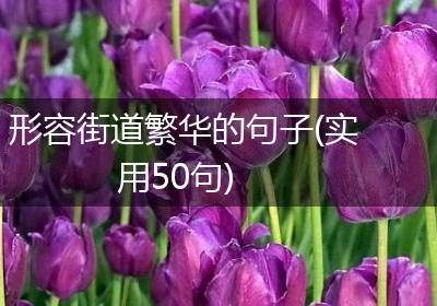形容街道繁华的句子(实用50句)
