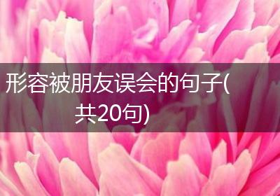形容被朋友误会的句子(共20句)