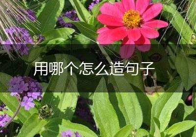 用哪个怎么造句子