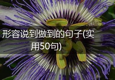形容说到做到的句子(实用50句)