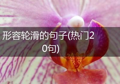 形容轮滑的句子(热门20句)