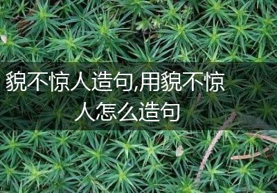貌不惊人造句,用貌不惊人怎么造句