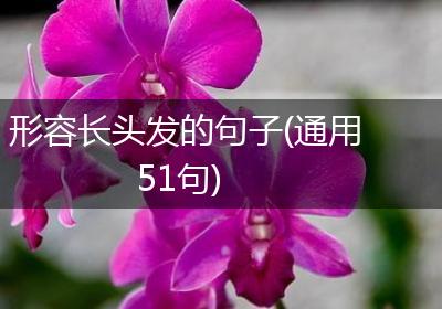形容长头发的句子(通用51句)
