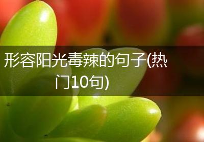 形容阳光毒辣的句子(热门10句)