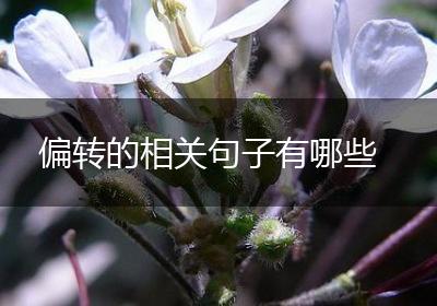 偏转的相关句子有哪些
