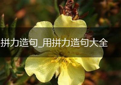 拼力造句_用拼力造句大全